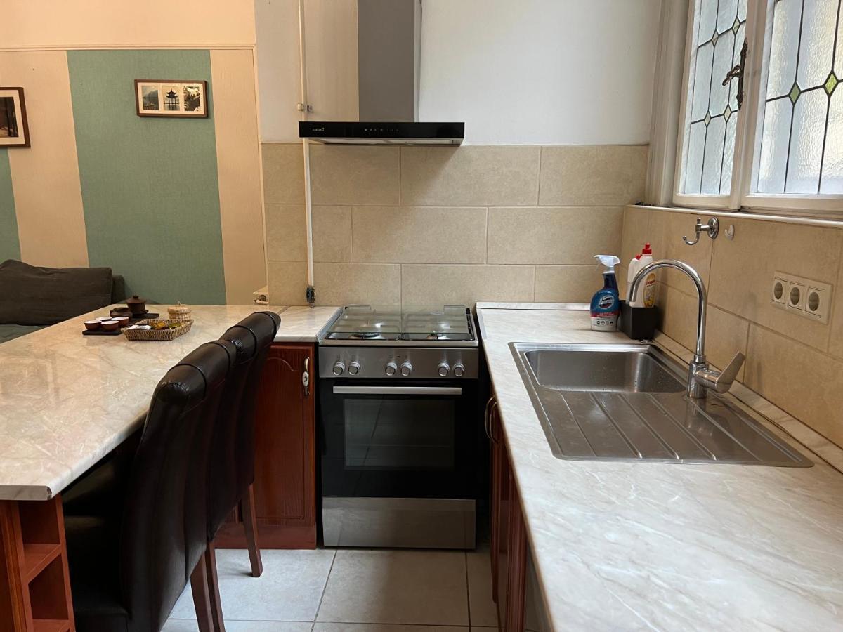 Tea Liu Apartment Budapeşte Dış mekan fotoğraf